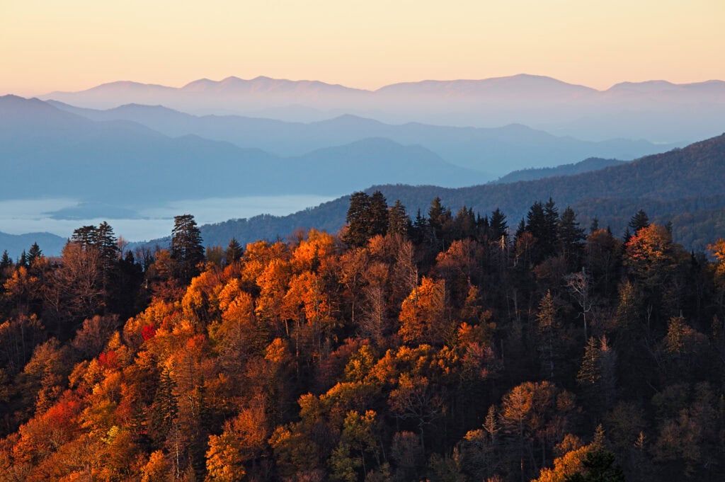 fall sunset picture with red trees and mountains. How much do Travel Photographers make a year